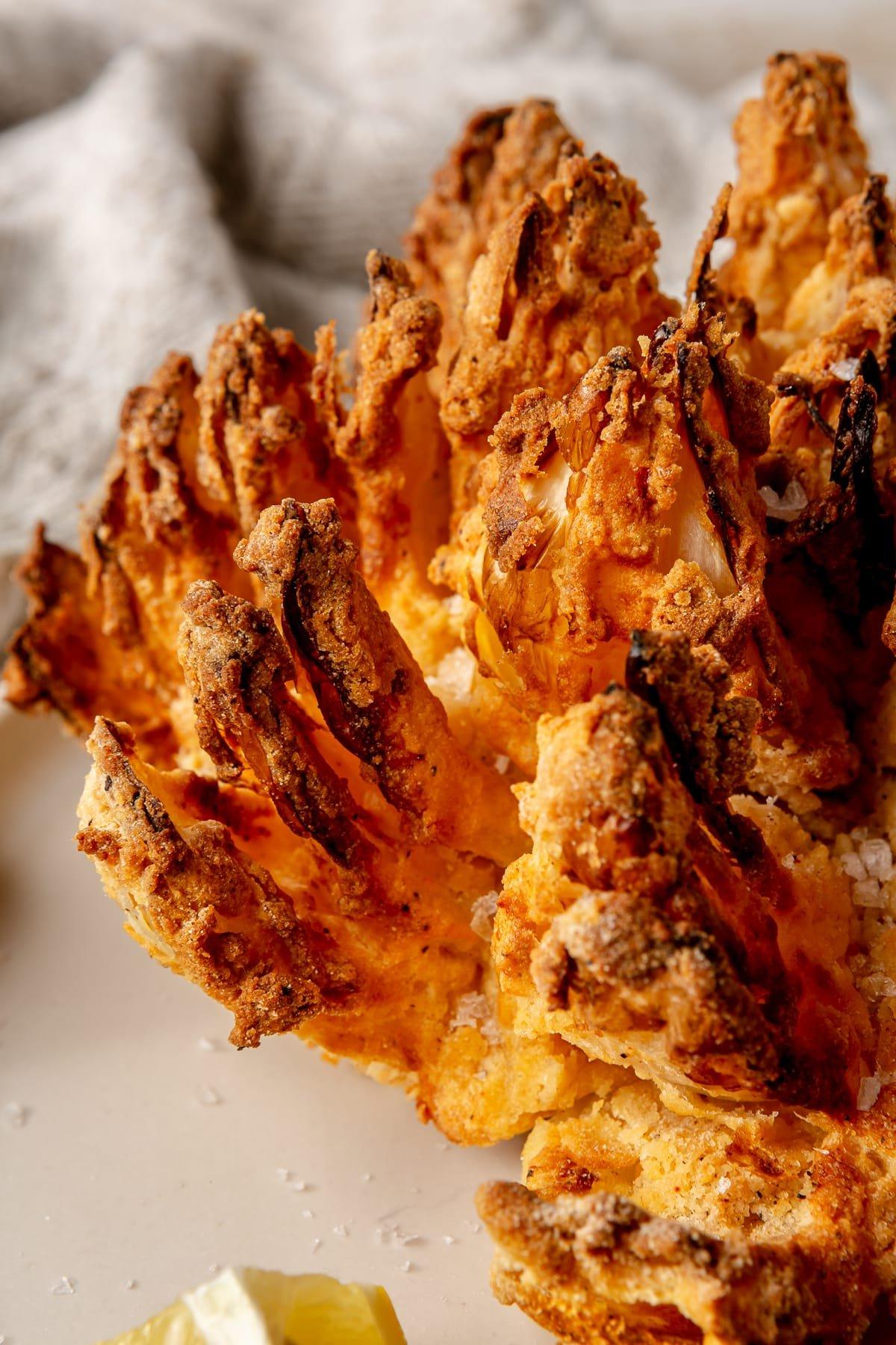 Heißluftfritteuse Blühende Zwiebel 2 Nahaufnahme einer golden-braunen, perfekt gegarten blühenden Zwiebel aus der Heißluftfritteuse, die auf einem dunklen Teller präsentiert wird.