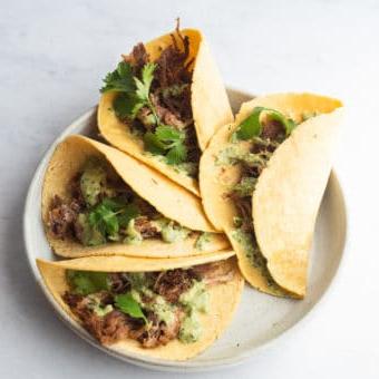 Ein Teller mit 4 Carnitas Tacos, belegt mit cremiger Avocado-Verde-Sauce und Koriander
