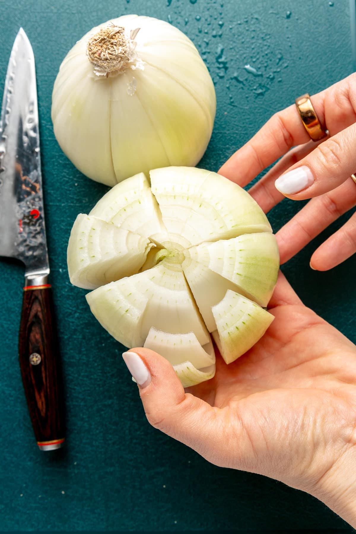 Heißluftfritteuse Blühende Zwiebel 5 Schritt 1 (Fortsetzung): Die Zwiebel wird umgedreht, die langen Wurzeln werden gekürzt, und anschließend werden gleichmäßige Schnitte vom Wurzelansatz aus entlang der Zwiebel gemacht, um die Blütenblätter zu formen.
