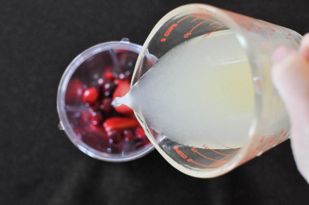 Paleo Lebkuchenhaus 7 Flüssige Zutaten für Fruchtgummis: Wasser und Zitronensaft
