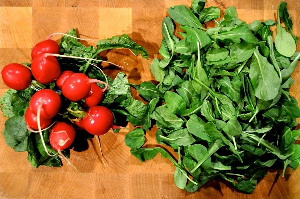 Grüner Salat und Radieschen