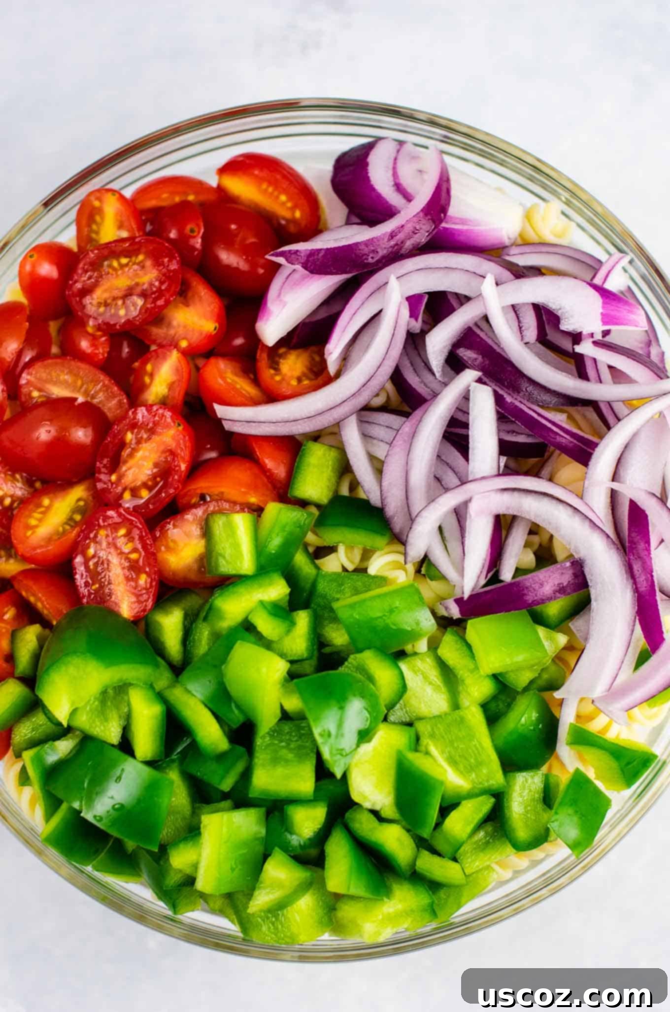 Vegan Pasta Salad 7 A close-up of the finished vegan pasta salad in a bowl, perfectly seasoned and ready to serve as a delicious cold side dish.