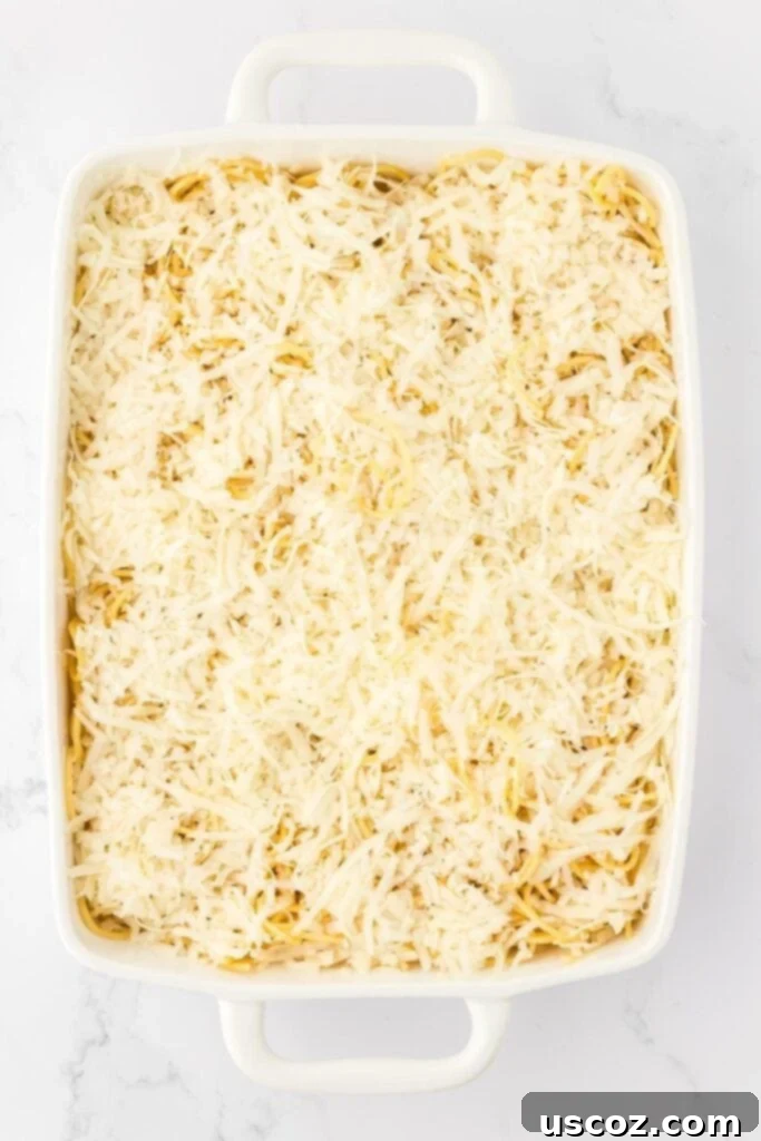 Hearty Vegetarian Spaghetti Bake 13 A layer of shredded cheese sprinkled over spaghetti in a casserole dish