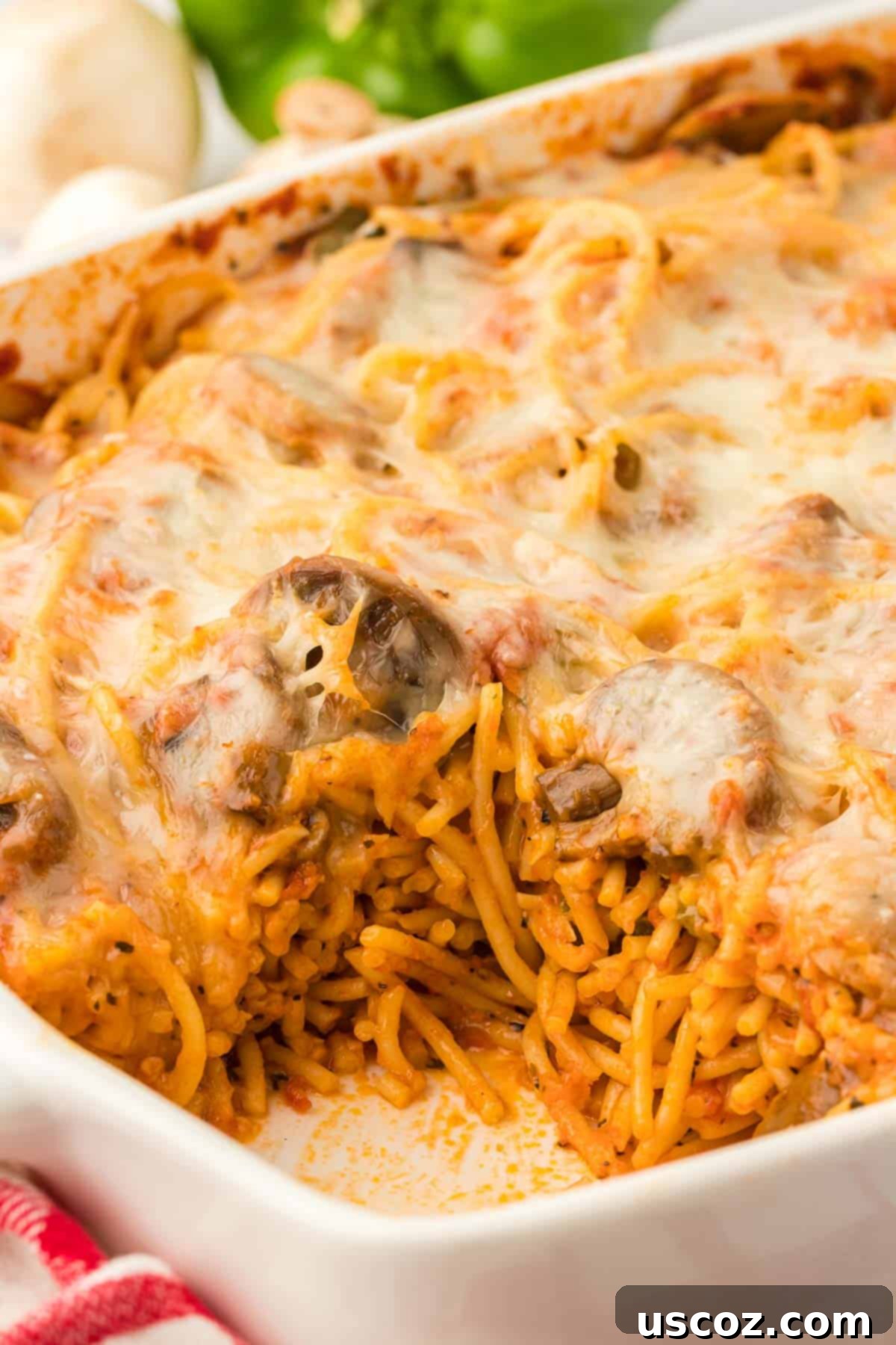 Hearty Vegetarian Spaghetti Bake 19 Close-up of a serving of veggie spaghetti bake in a bowl, showing the rich sauce, melted cheese, and vegetables