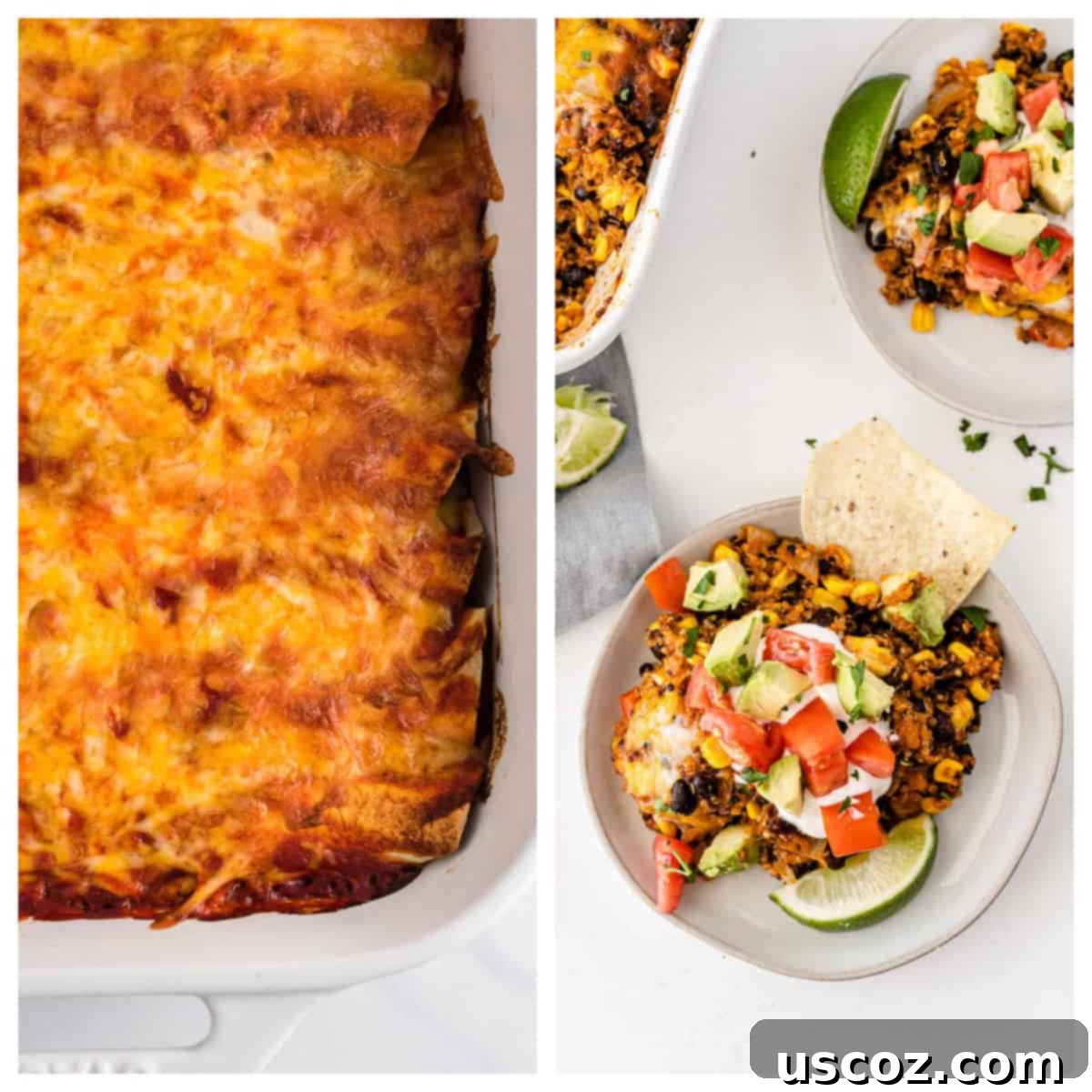 75 Delicious Vegetarian Meals 7 collage image showing enchiladas and quinoa mexican casserole