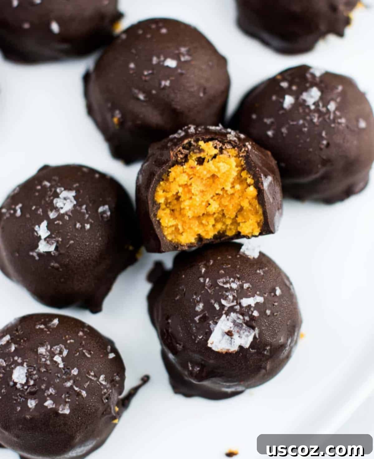 Bittersweet Pumpkin Spice Truffles 2 Dark chocolate pumpkin truffles elegantly arranged on a plate
