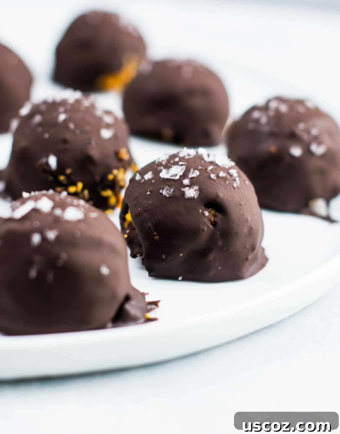 Bittersweet Pumpkin Spice Truffles 3 Two dark chocolate pumpkin truffles on a white plate, showcasing their perfect shape and sea salt topping