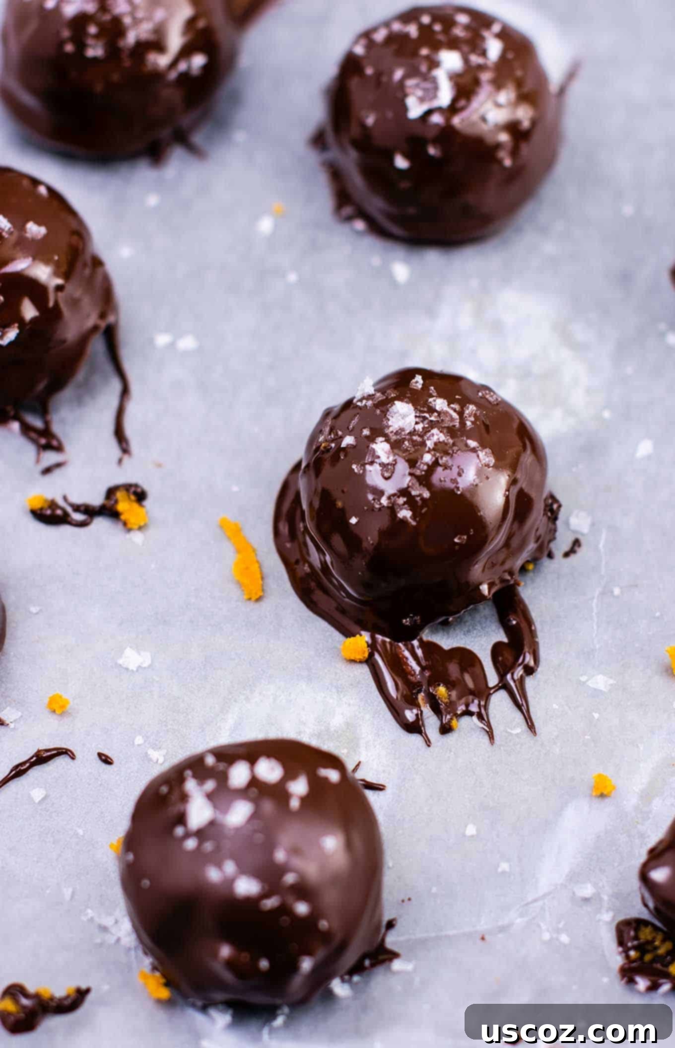 Bittersweet Pumpkin Spice Truffles 6 Pumpkin truffles freshly dipped in rich melted dark chocolate, shimmering on wax paper