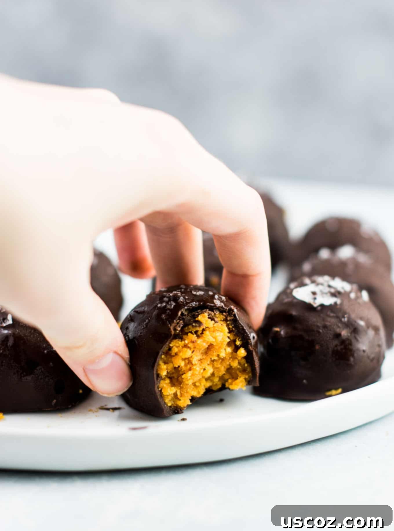 Bittersweet Pumpkin Spice Truffles 7 A hand reaching for a delicious dark chocolate pumpkin truffle from a plate, showcasing its inviting appeal