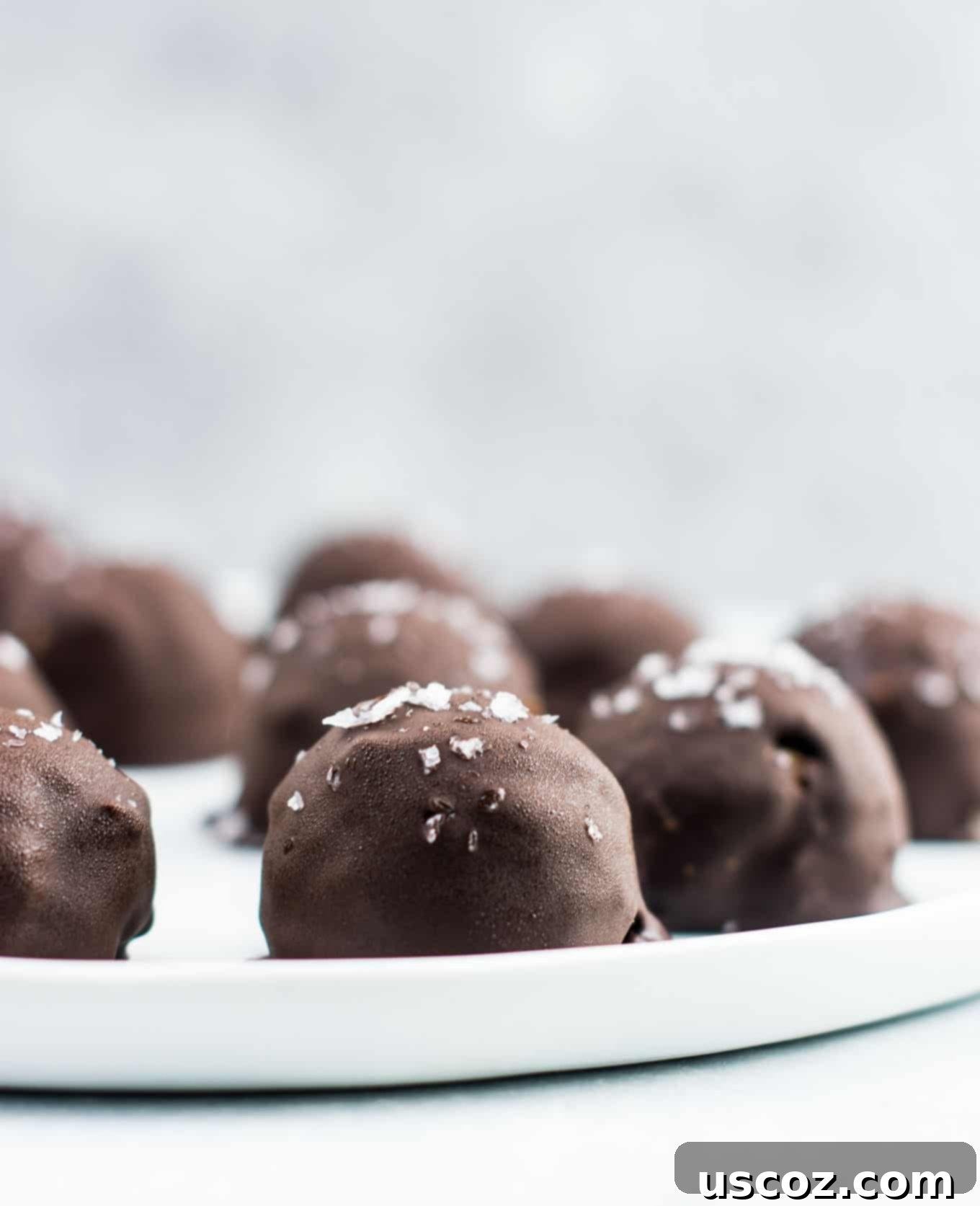 Bittersweet Pumpkin Spice Truffles 8 Multiple dark chocolate pumpkin truffles artfully arranged on a white plate with fall leaves, highlighting their seasonal charm