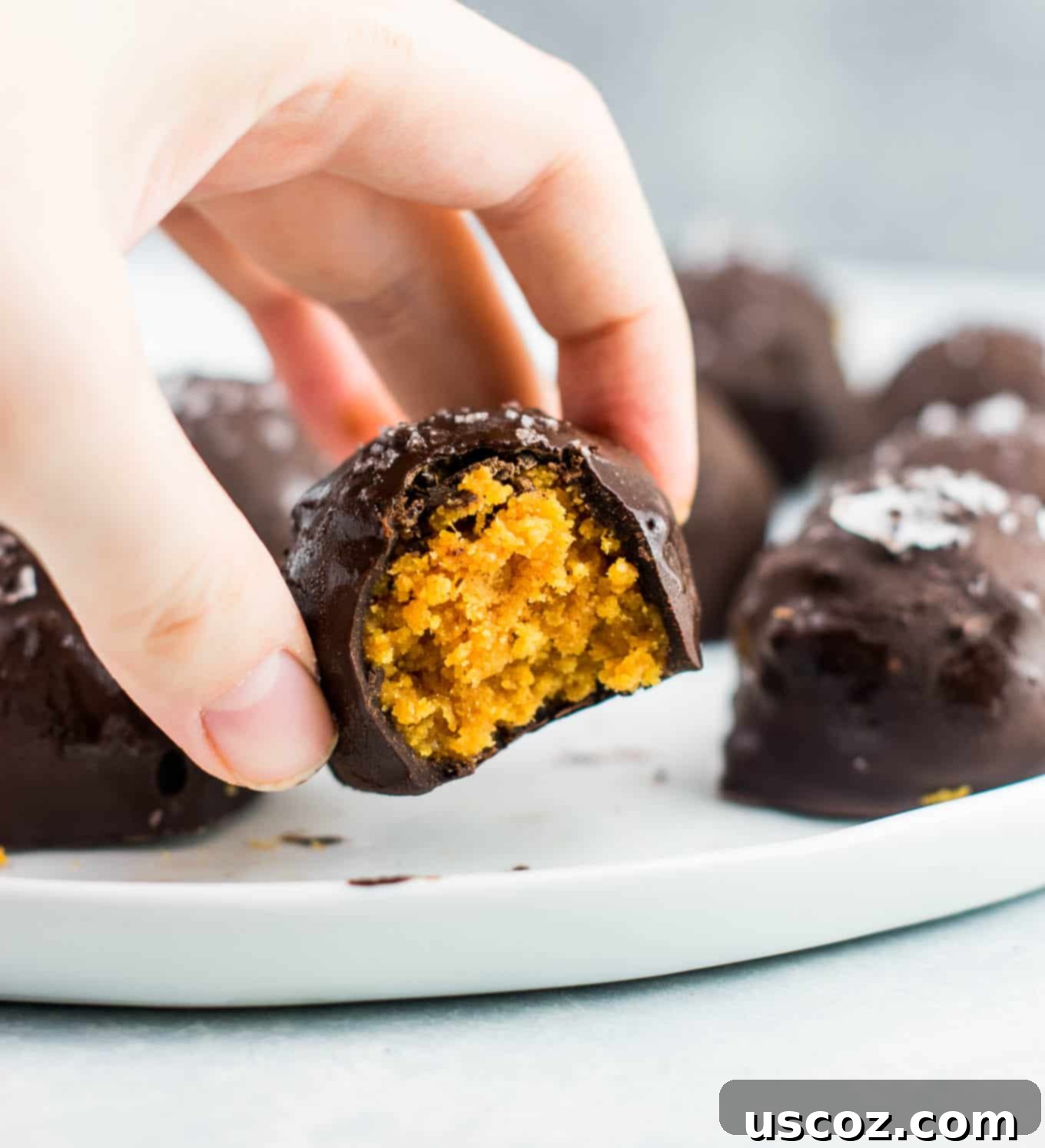 Bittersweet Pumpkin Spice Truffles 10 Another recipe card image: Dark chocolate pumpkin truffles (vegan, gluten free) with text: These taste AMAZING! Made with coconut flour and dark chocolate chunks. This needs to be your next pumpkin dessert! #pumpkintruffles #pumpkin #nobake #vegan #glutenfree #dessert