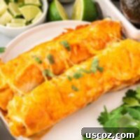 Sweet Potato Perfection: 15 Vegetarian Recipes 9 two enchiladas on a plate