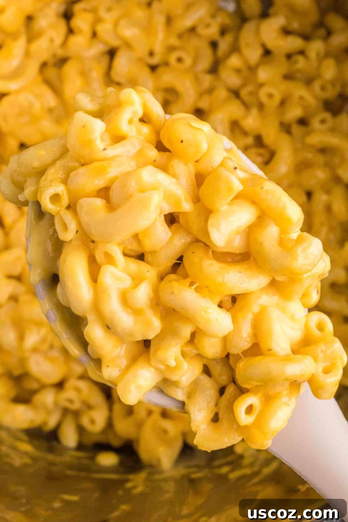 Creamy Instant Pot Mac and Cheese 2 scoop of instant pot mac and cheese ready to serve