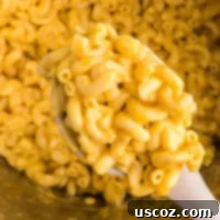 Creamy Instant Pot Mac and Cheese 11 scoop of instant pot mac and cheese