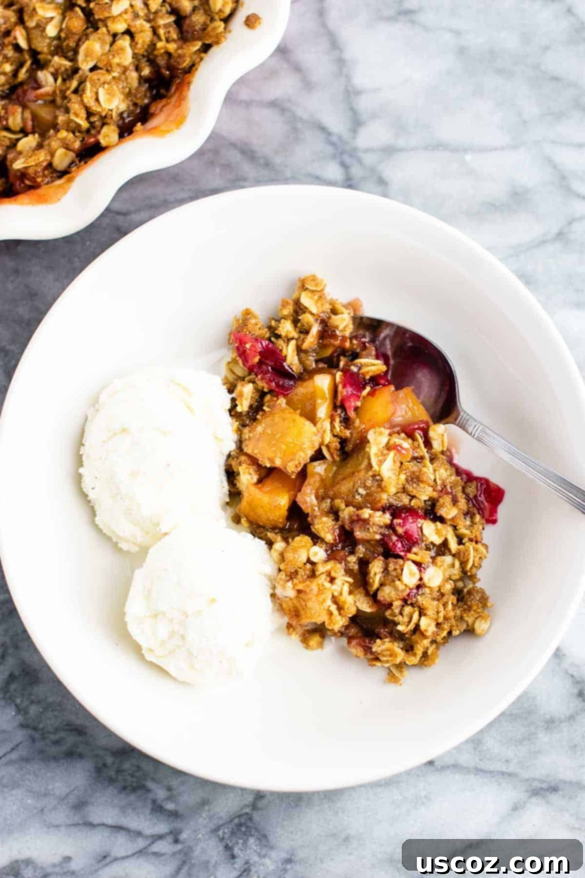 Spiced Cranberry Apple Crumble 2 Warm cranberry apple crisp in a bowl topped with melting vanilla ice cream, showcasing the golden-brown crisp topping and ruby red cranberries.