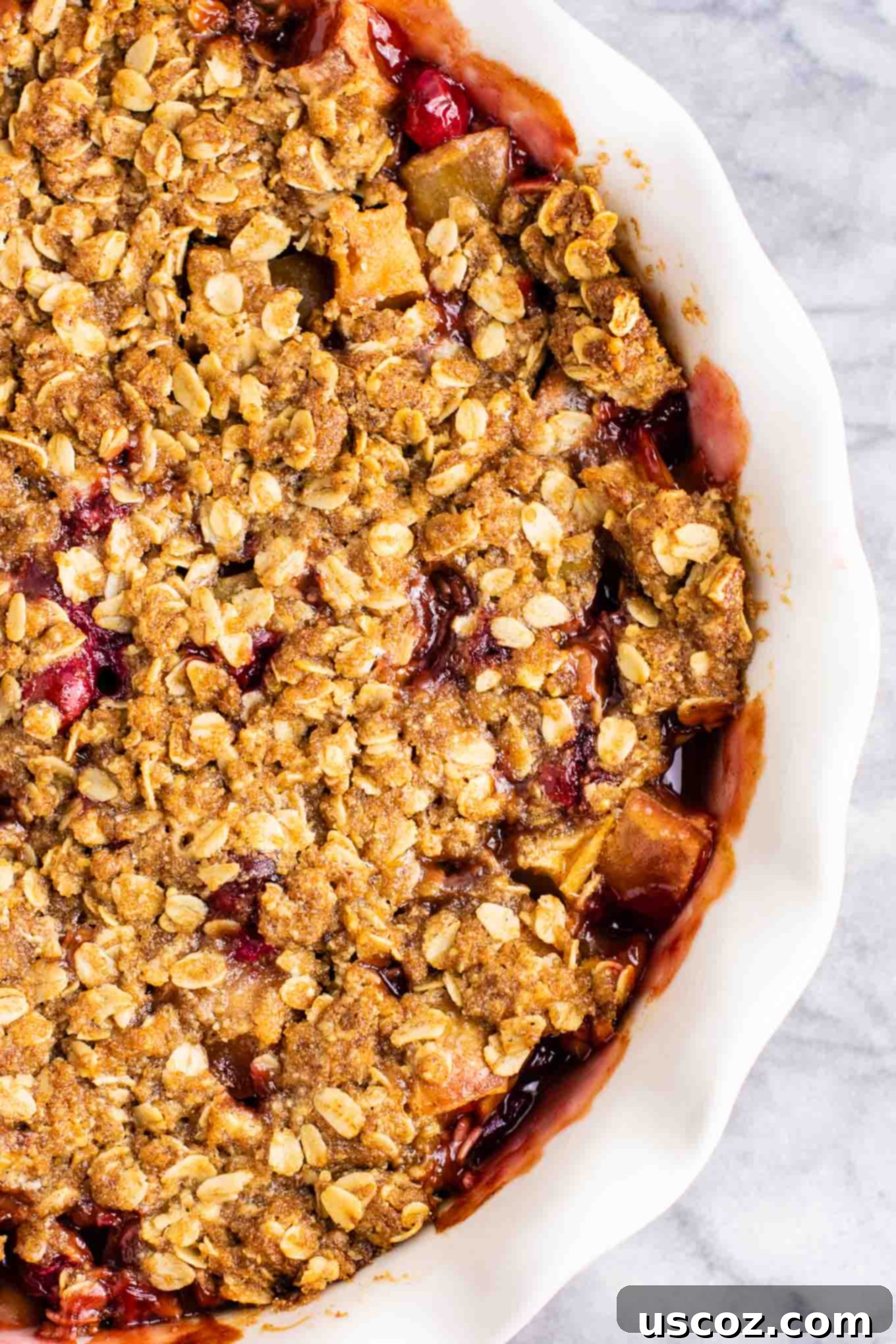 Spiced Cranberry Apple Crumble 3 A whole cranberry apple crisp cooling in a ceramic pie dish, with the rich, bubbly fruit filling visible beneath the golden-brown crisp topping.