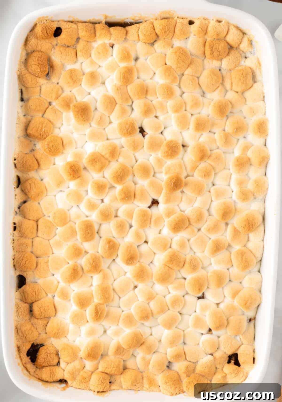 36 Delicious Vegetarian Thanksgiving Dishes 2 baked sweet potato casserole with marshmallows, a classic vegetarian Thanksgiving side dish