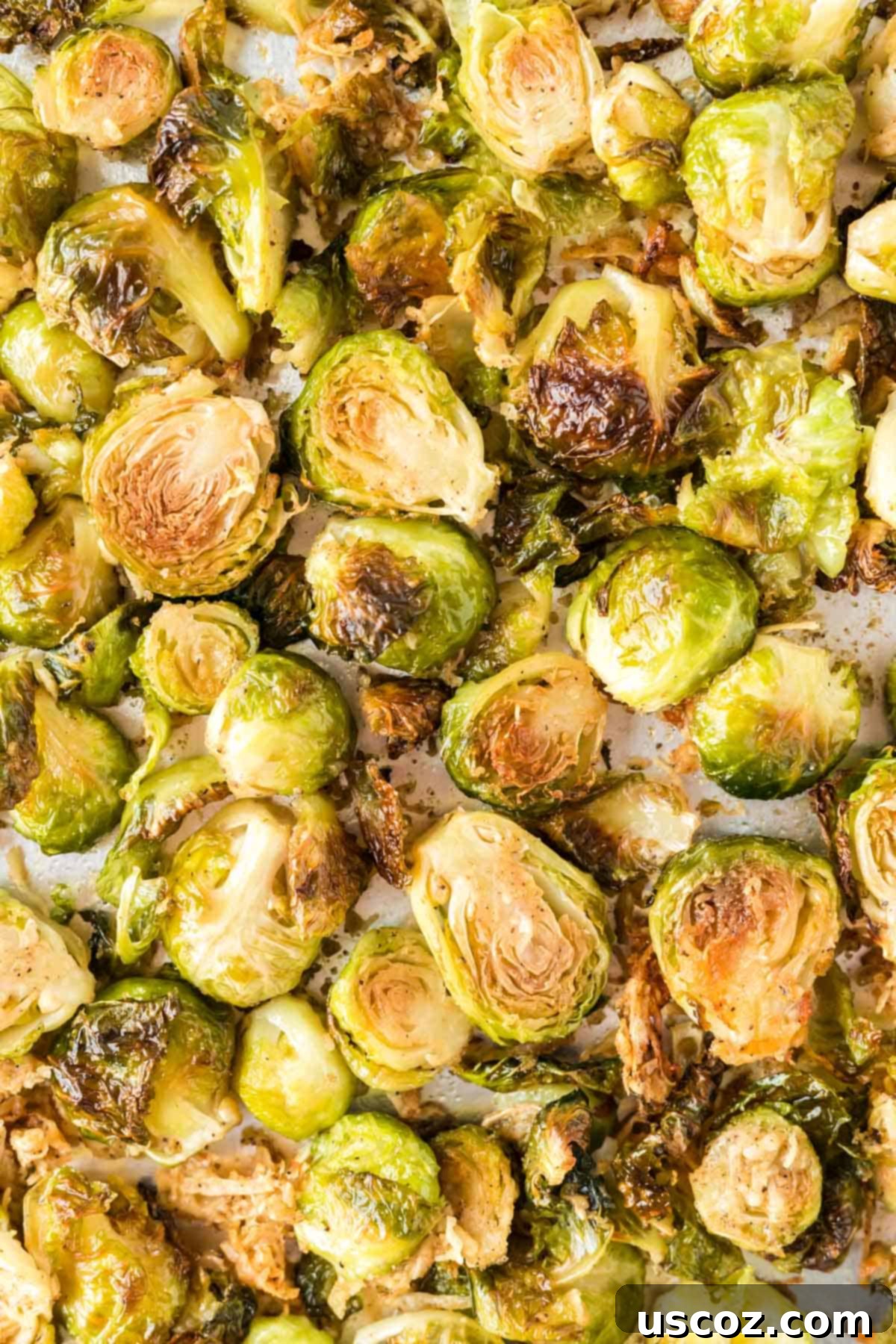 36 Delicious Vegetarian Thanksgiving Dishes 11 Roasted Brussels sprouts with parmesan cheese on a baking sheet, golden and crispy