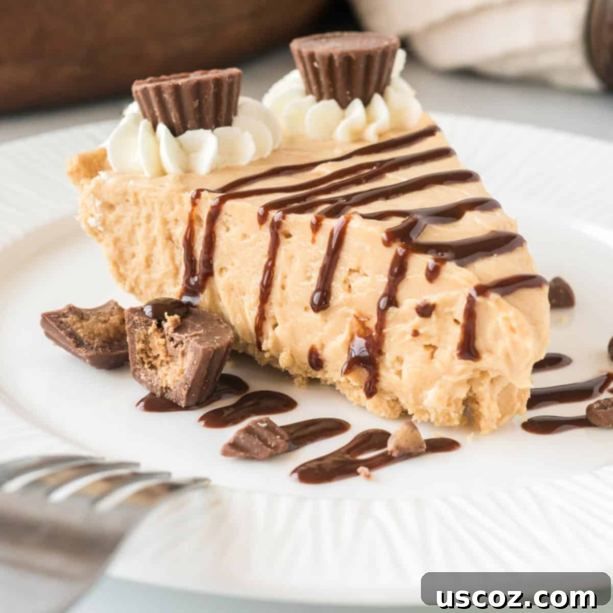 36 Delicious Vegetarian Thanksgiving Dishes 30 A generous slice of no-bake peanut butter pie, garnished with chocolate syrup and mini Reese's cups