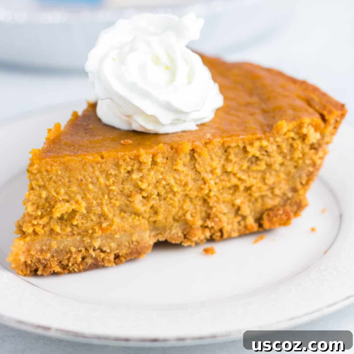 36 Delicious Vegetarian Thanksgiving Dishes 36 A pristine slice of gluten-free pumpkin pie on a plate, elegantly topped with whipped cream