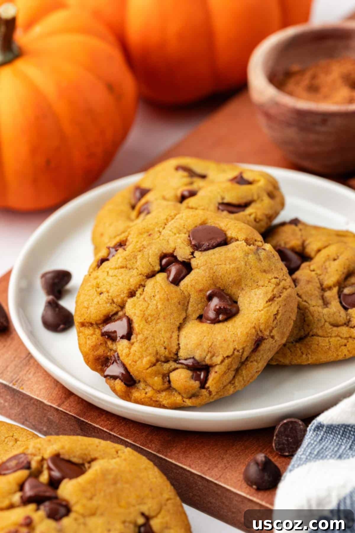 Cozy Vegan Pumpkin Chocolate Chip Cookies 2 Irresistible vegan pumpkin chocolate chip cookies with a sprinkle of sea salt, perfect for fall