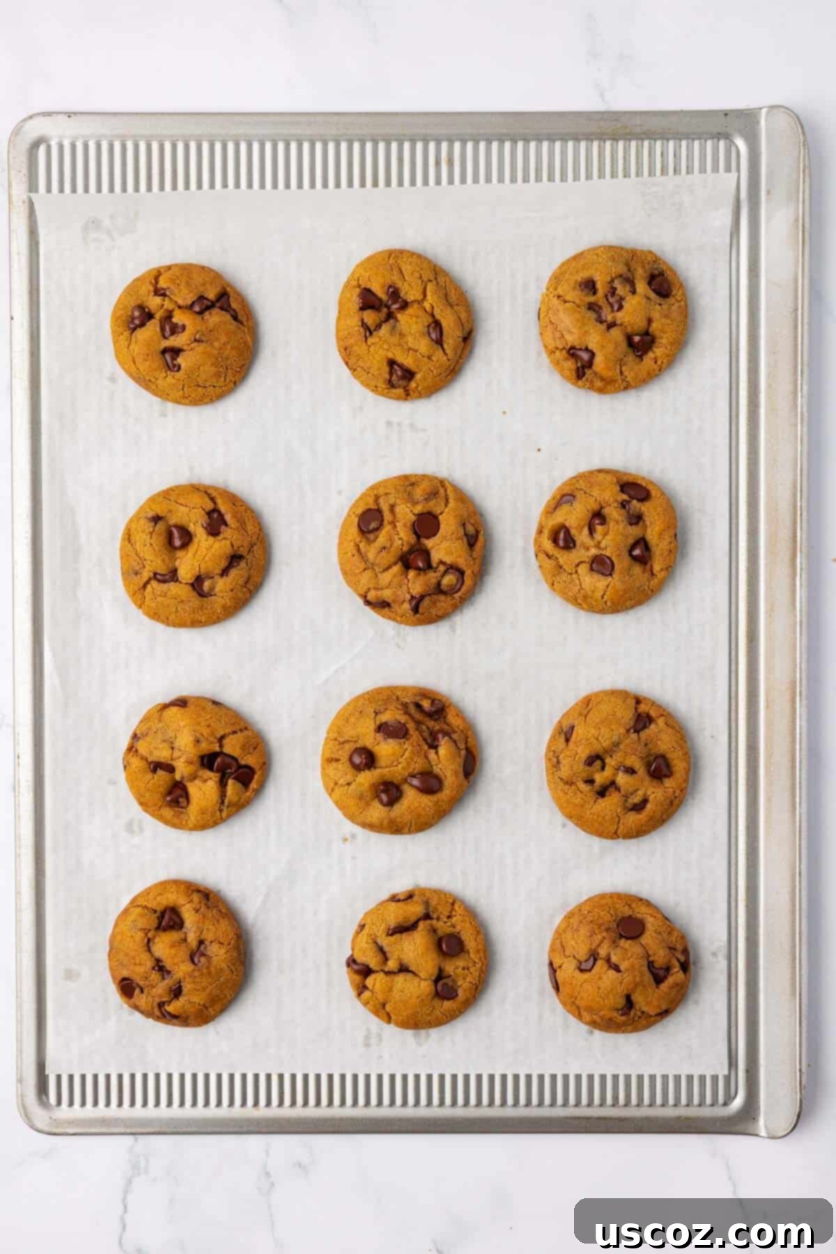Cozy Vegan Pumpkin Chocolate Chip Cookies 14 Freshly baked vegan pumpkin chocolate chip cookies on a baking sheet, golden brown at the edges.