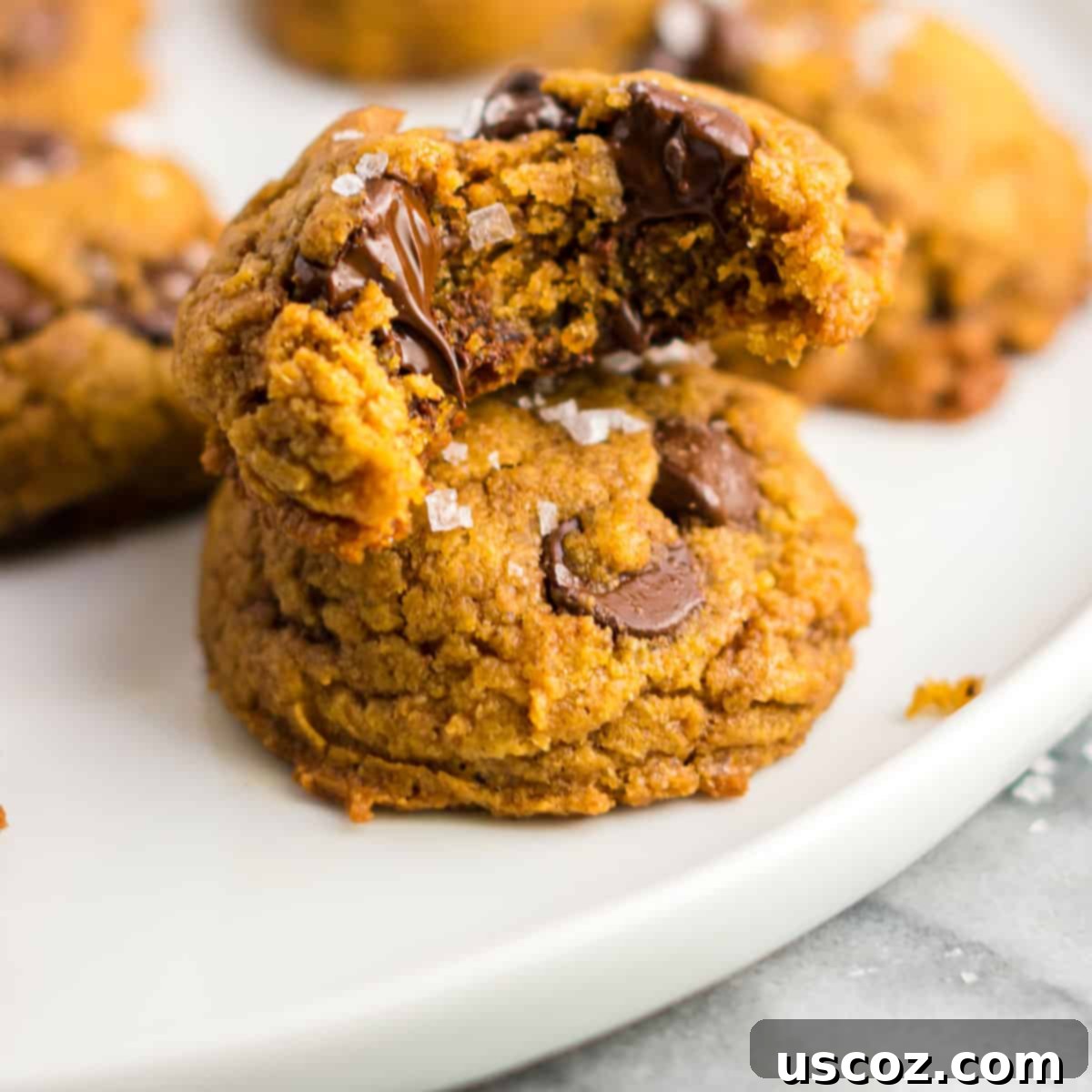 Cozy Vegan Pumpkin Chocolate Chip Cookies 15 A perfectly baked vegan pumpkin chocolate chip cookie with a bite taken out, revealing its soft interior and melted chocolate chips, topped with sea salt.