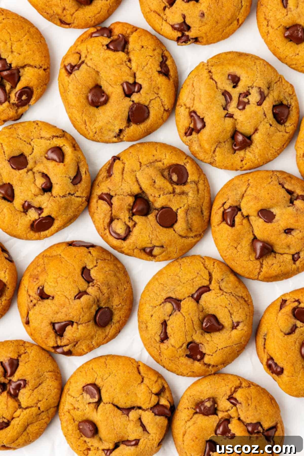 Cozy Vegan Pumpkin Chocolate Chip Cookies 16 A stack of golden brown vegan pumpkin chocolate chip cookies, garnished with chocolate chips and sea salt.