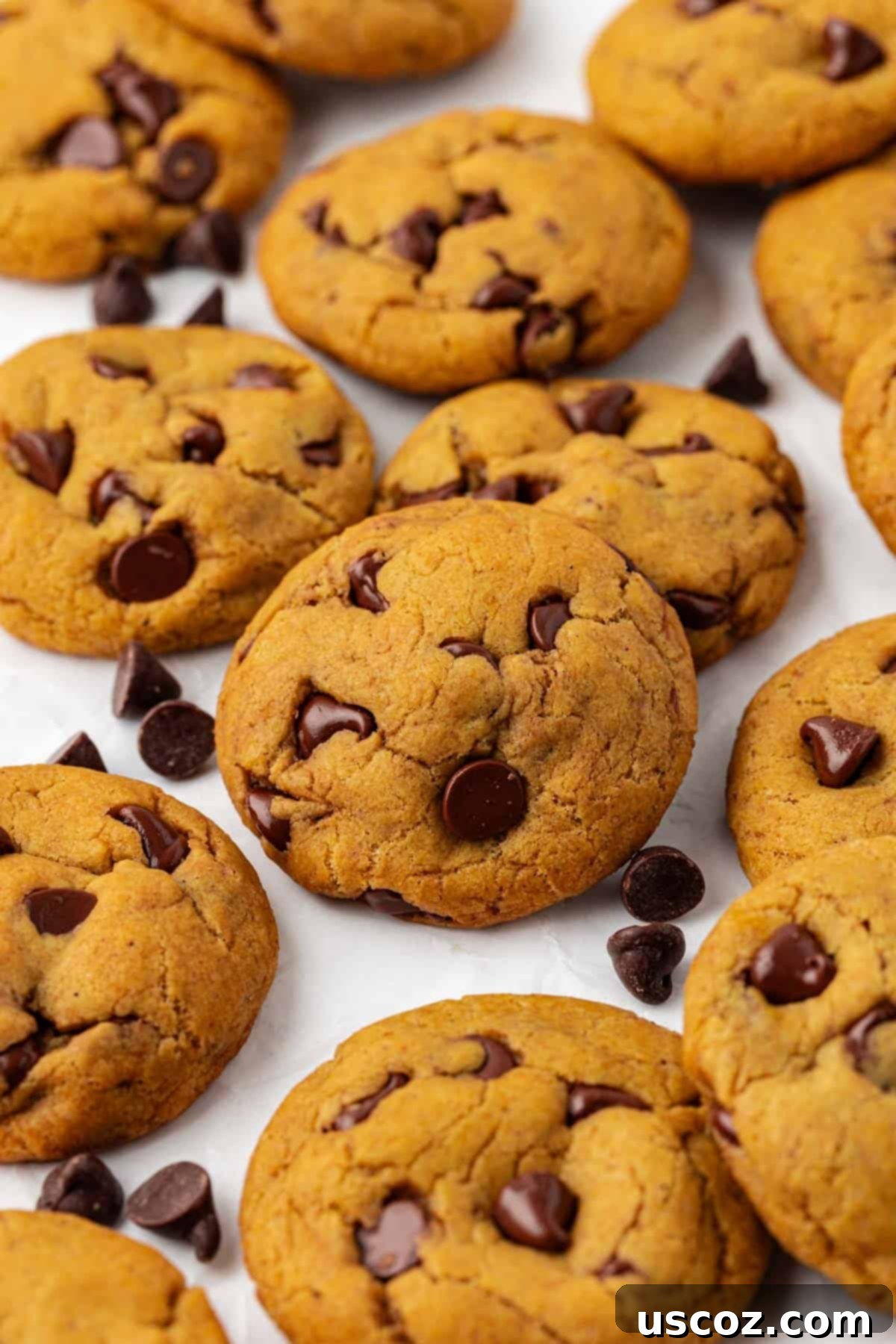 Cozy Vegan Pumpkin Chocolate Chip Cookies 17 A perfectly arranged stack of vegan pumpkin chocolate chip cookies on a wooden surface, with autumn decor in the background.