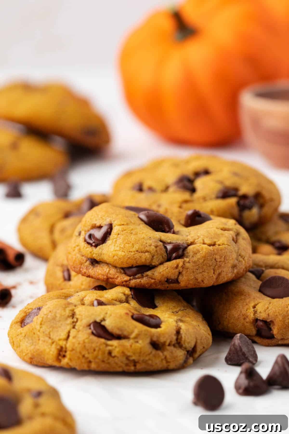 Cozy Vegan Pumpkin Chocolate Chip Cookies 18 A generous pile of vegan pumpkin chocolate chip cookies, ready for serving or storing.