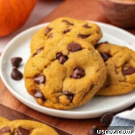 Cozy Vegan Pumpkin Chocolate Chip Cookies 19 vegan pumpkin chocolate chip cookies