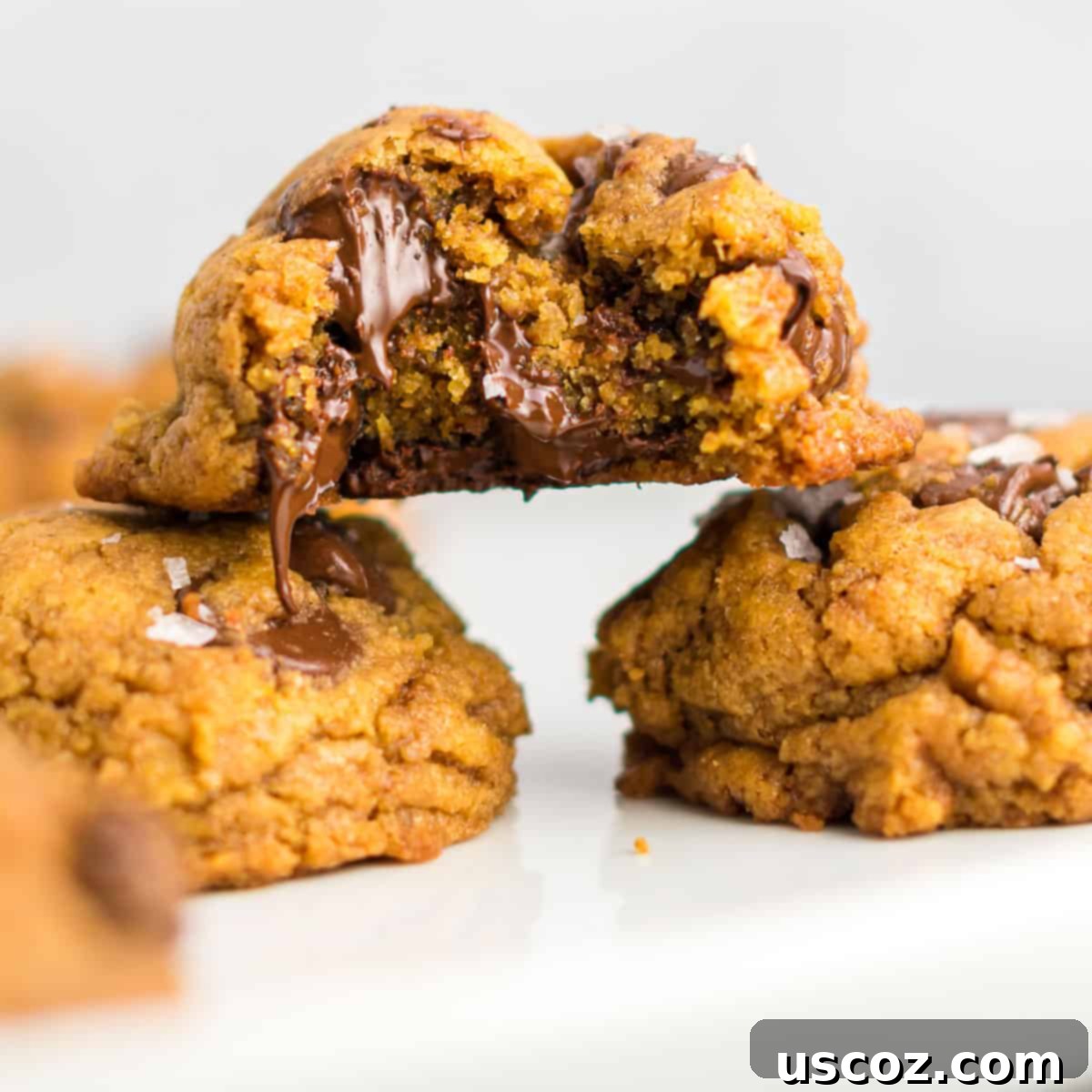 Cozy Vegan Pumpkin Chocolate Chip Cookies 20 A close-up of a vegan pumpkin chocolate chip cookie with a bite missing, showcasing its soft, moist texture and melted chocolate chips, finished with flaky sea salt.