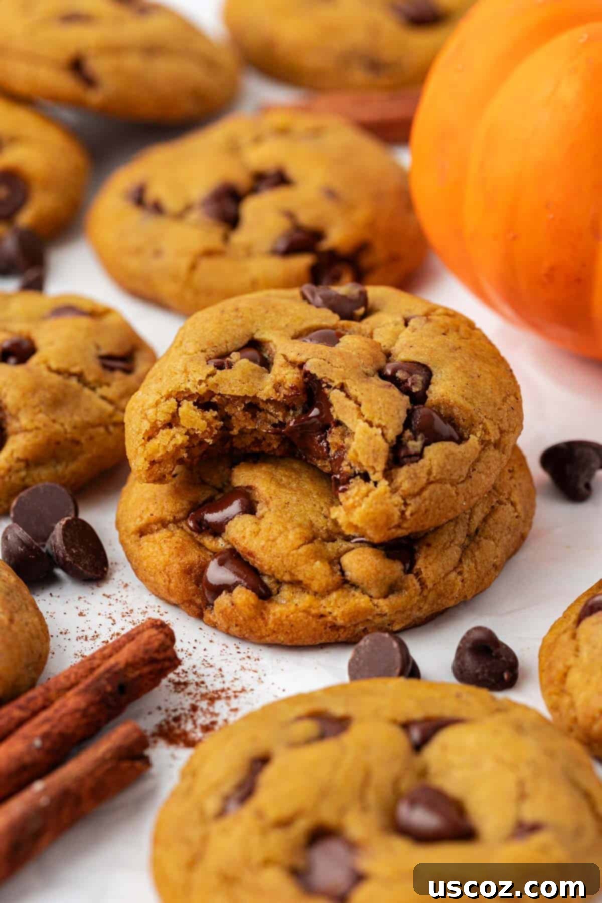 Cozy Vegan Pumpkin Chocolate Chip Cookies 3 Close-up of freshly baked vegan pumpkin chocolate chip cookies, showcasing their soft and chewy texture.
