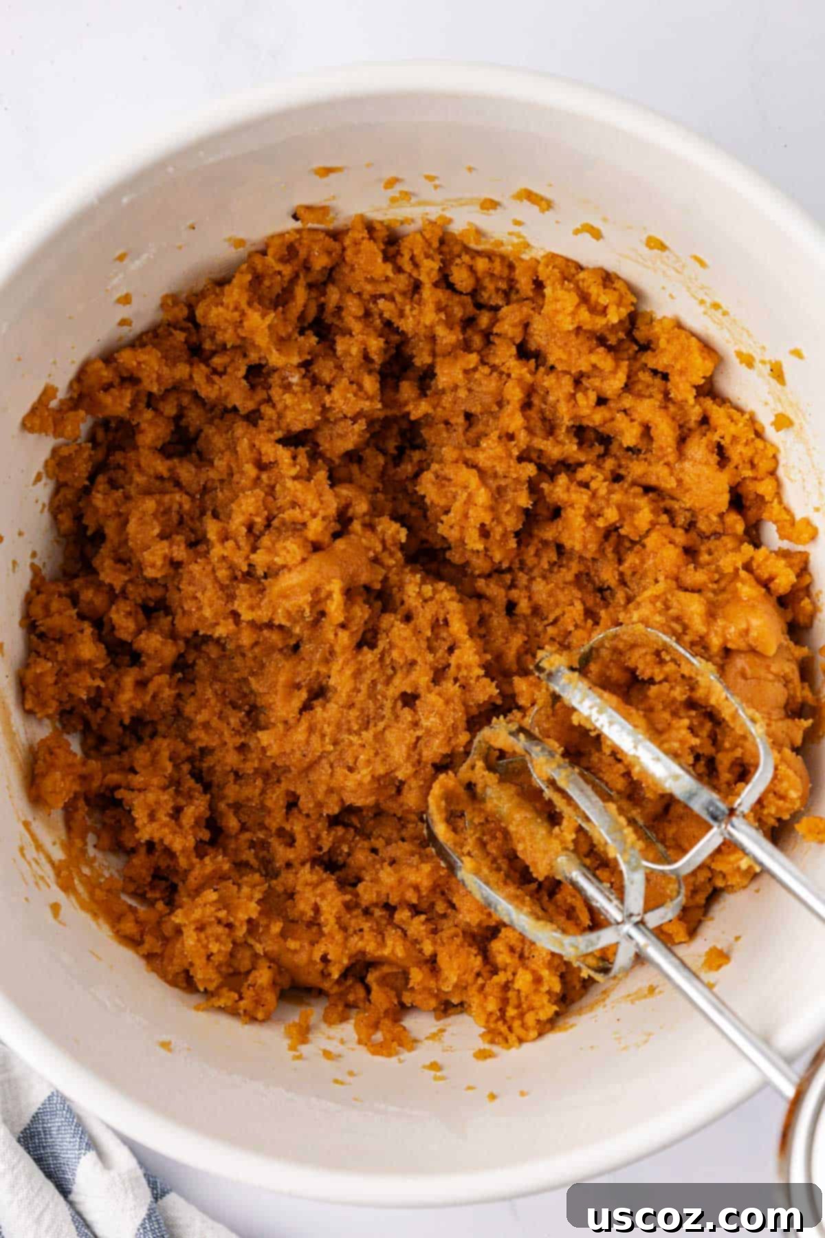 Cozy Vegan Pumpkin Chocolate Chip Cookies 10 Vegan pumpkin cookie batter, perfectly mixed and ready for chocolate chips.