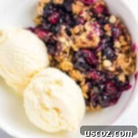 A vibrant cranberry blueberry crisp served in a bowl, topped with a melting scoop of vanilla ice cream, promising a delicious warm and cold contrast.