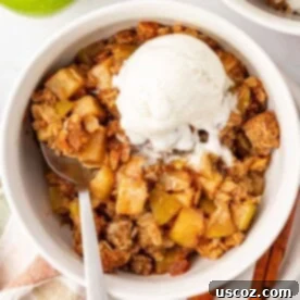 A comforting gluten-free apple crisp, perfectly baked and topped with a melting scoop of creamy vanilla ice cream.