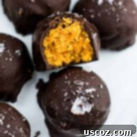 Delicious pumpkin truffles dusted with cocoa, arranged beautifully on a plate, highlighting their rich, seasonal appeal.