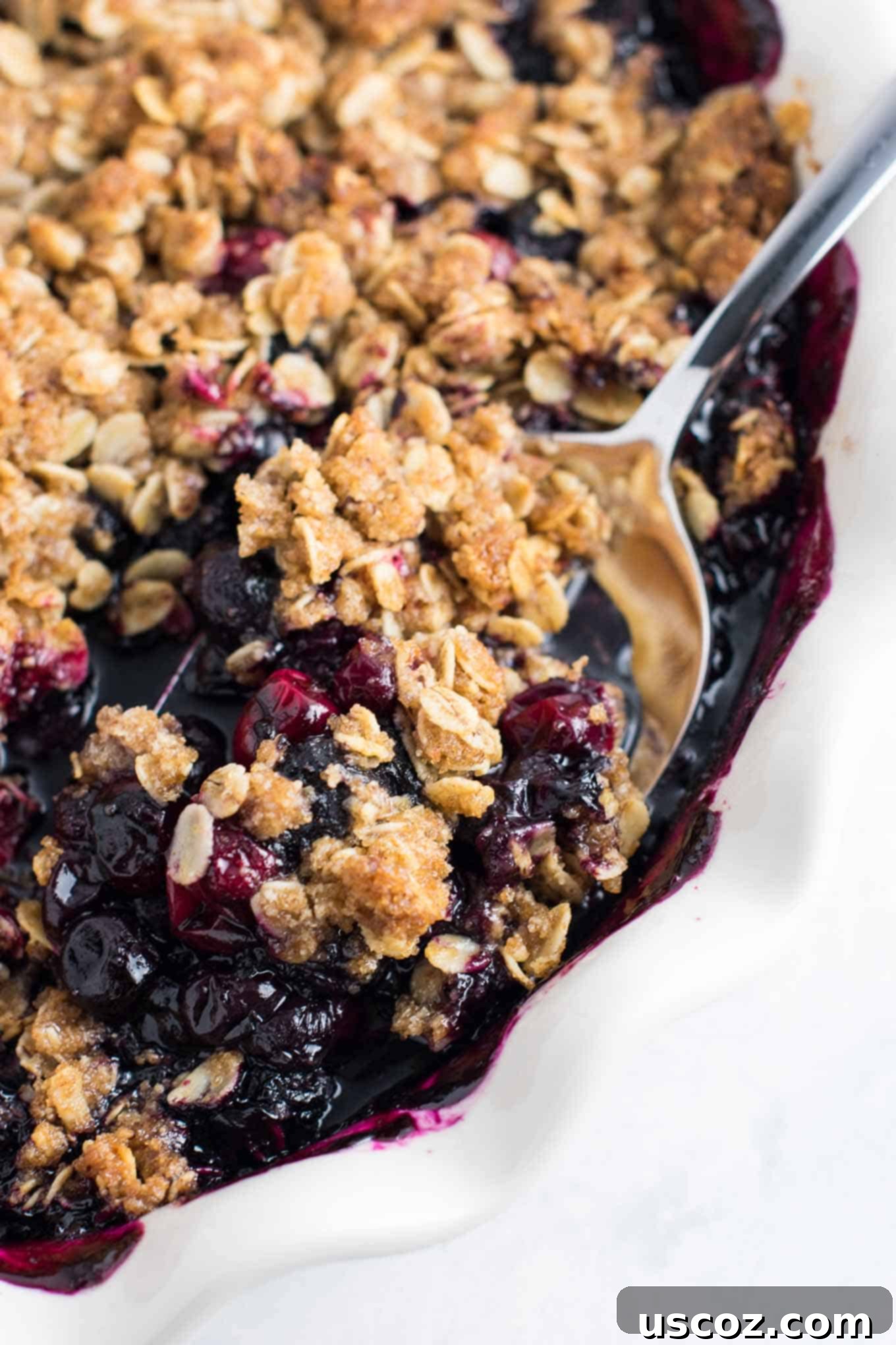 My Plant-Based Thanksgiving Celebration 14 vegetarian thanksgiving menu - This Cranberry Blueberry Crisp recipe is packed full of flavor and ready for the oven in less than 15 minutes! Gluten free and vegan. #cranberryblueberrycrisp #cranberry #dessert #vegan #glutenfree