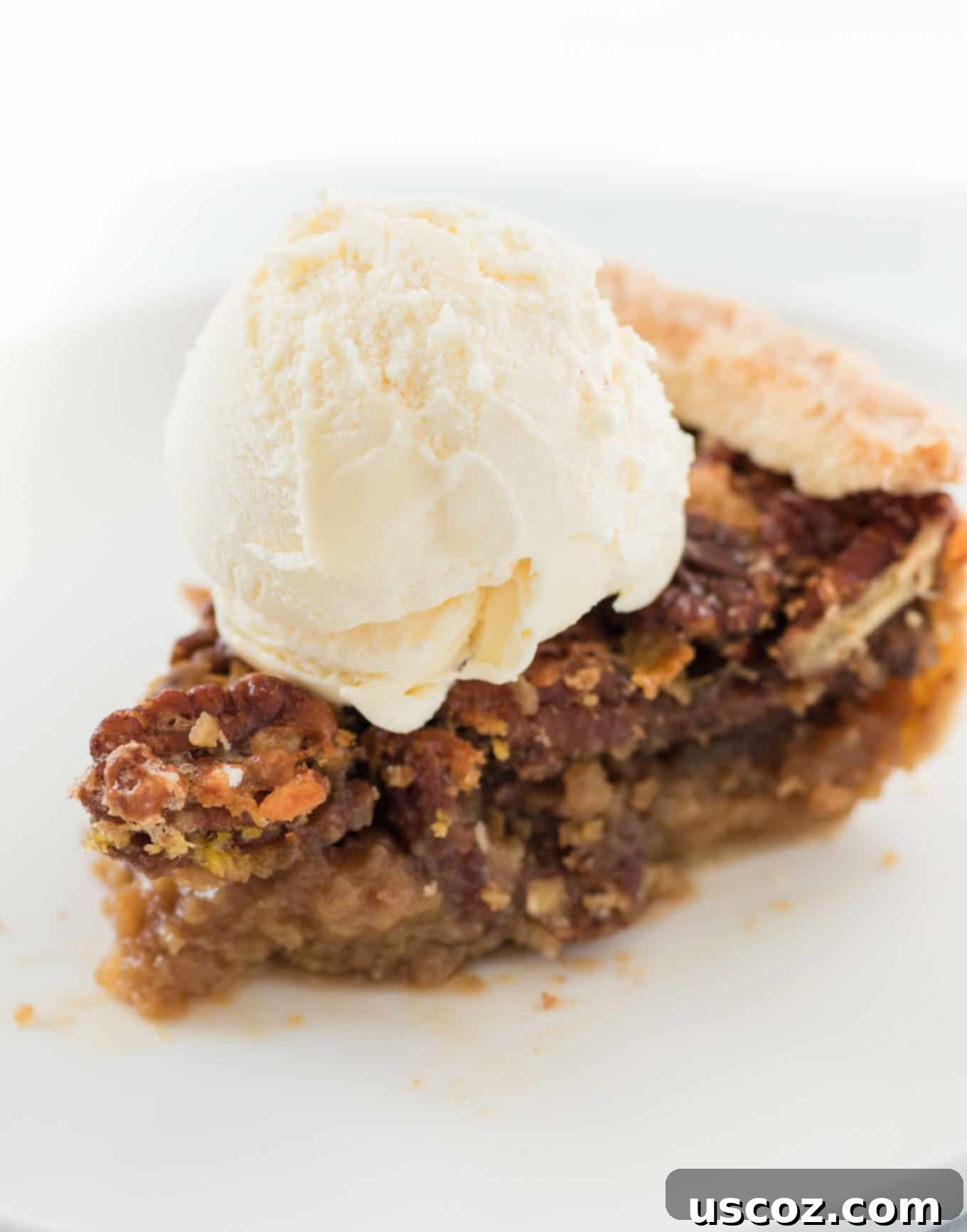 My Plant-Based Thanksgiving Celebration 15 slice of pecan pie with a scoop of vanilla ice cream