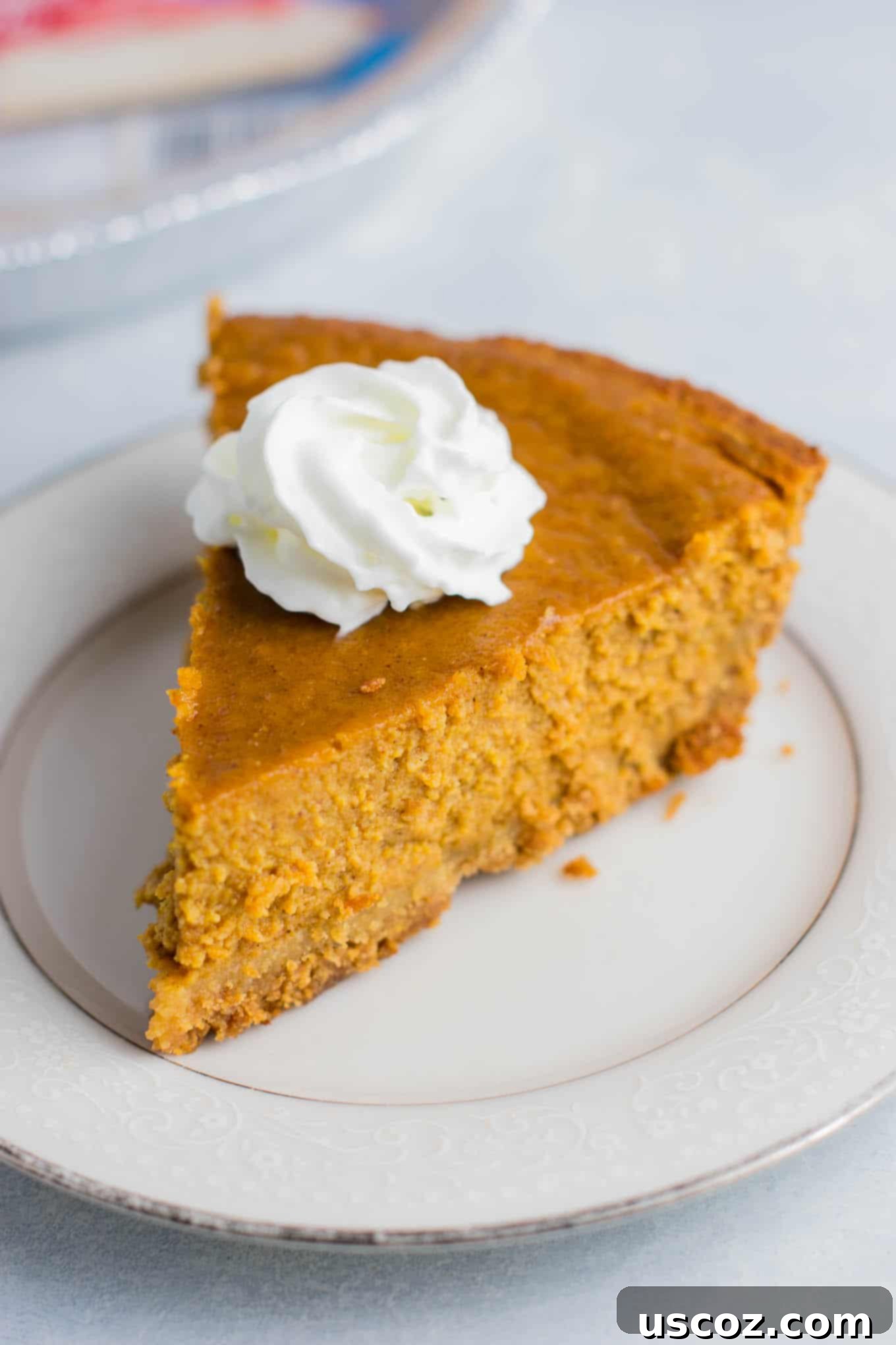 My Plant-Based Thanksgiving Celebration 16 vegetarian thanksgiving menu - This gluten free pumpkin pie recipe is the only one you'll ever need. Easy to make and melt in your mouth delicious! #ad #MIDELicious #glutenfree #pumpkinpie #dessert