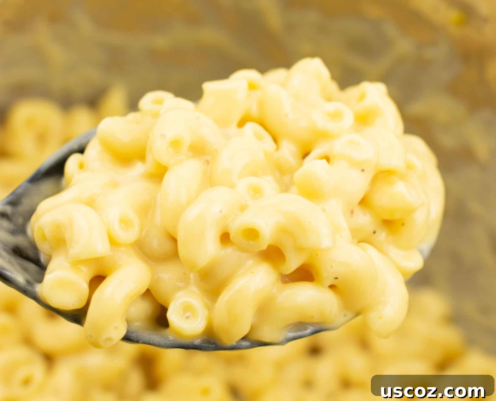 My Plant-Based Thanksgiving Celebration 4 vegetarian thanksgiving menu - Instant pot mac and cheese recipe – make homemade insanely creamy mac and cheese in just 10 minutes! I’m never making mac and cheese another way again! #instantpot #instantpotrecipes #instantpotmacandcheese #macandcheese #dinner #easyrecipe