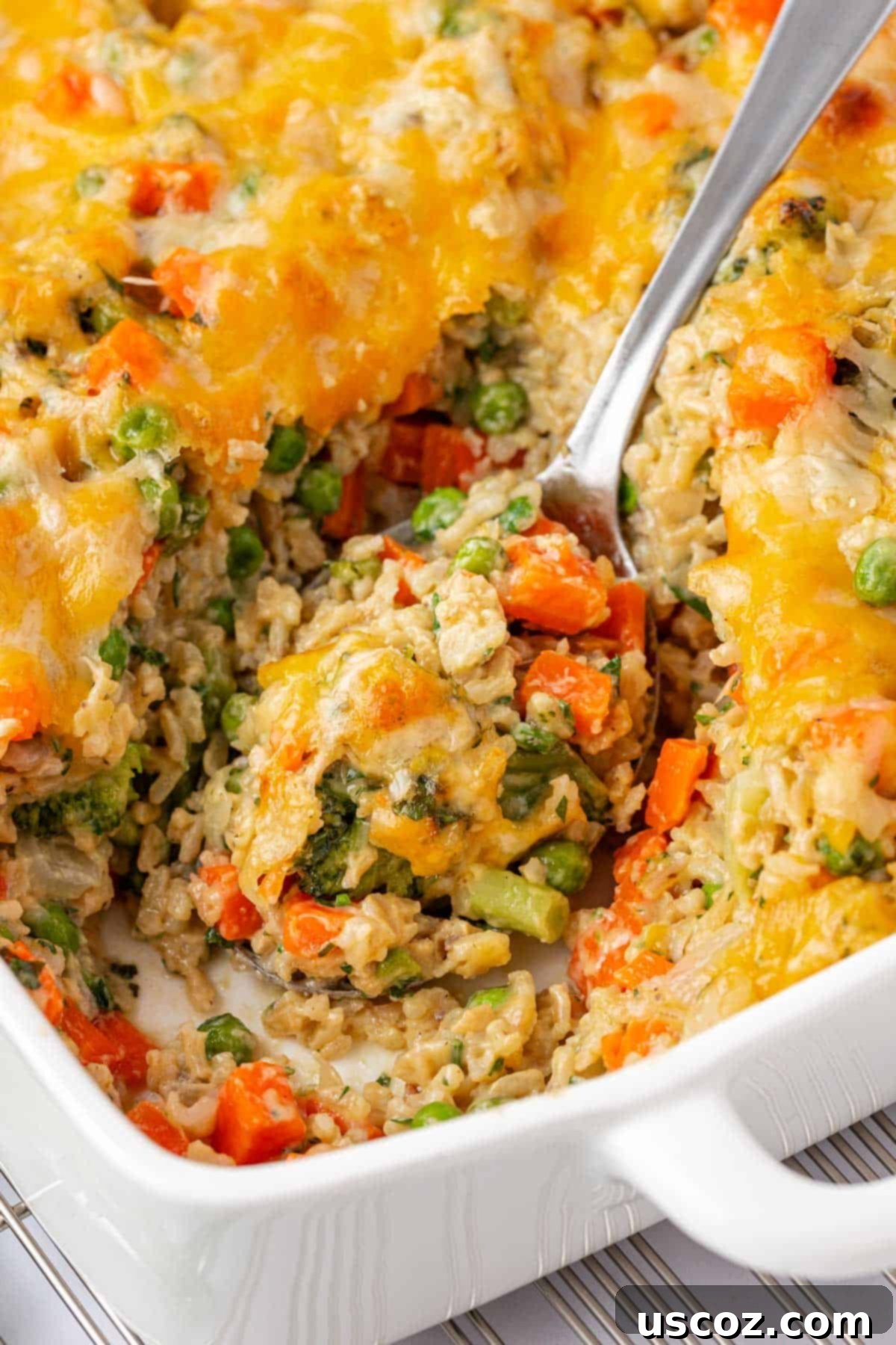 Hearty Veggie Rice Bake 2 Delicious and cheesy vegetable rice casserole ready to be served
