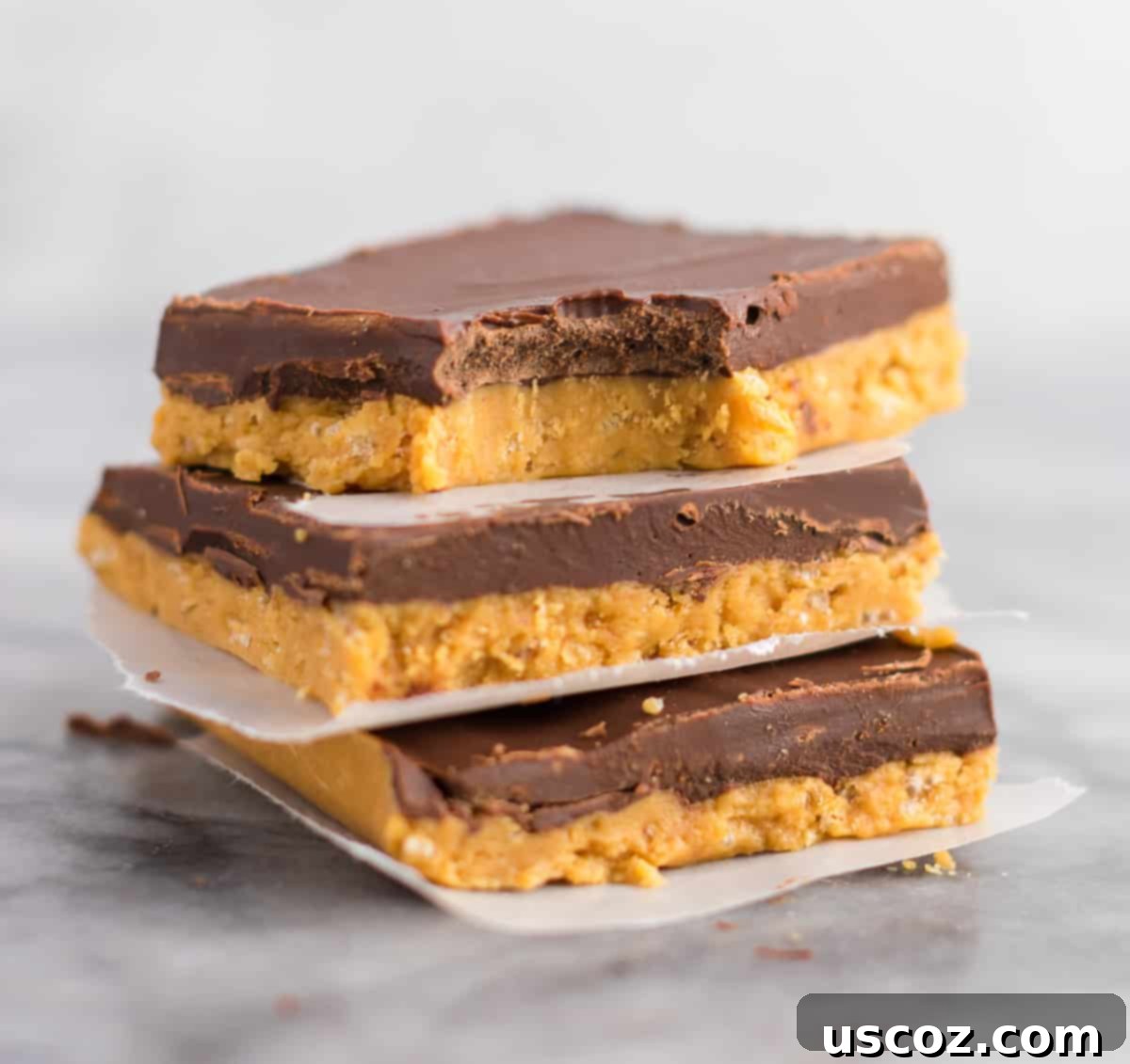 Easy No-Bake Chocolate Peanut Butter Bars 5 Several no-bake chocolate peanut butter bars beautifully arranged on a plate, ready to be served.
