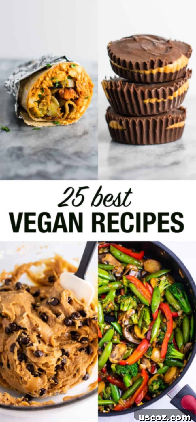 25 Incredible Vegan Recipes 27 25 of the BEST vegan recipes - everything from vegan breakfast to vegan desserts, vegan dinners, and more! #vegan #bestveganrecipes #dairyfree #vegetarian #veganbreakfast #vegandinner