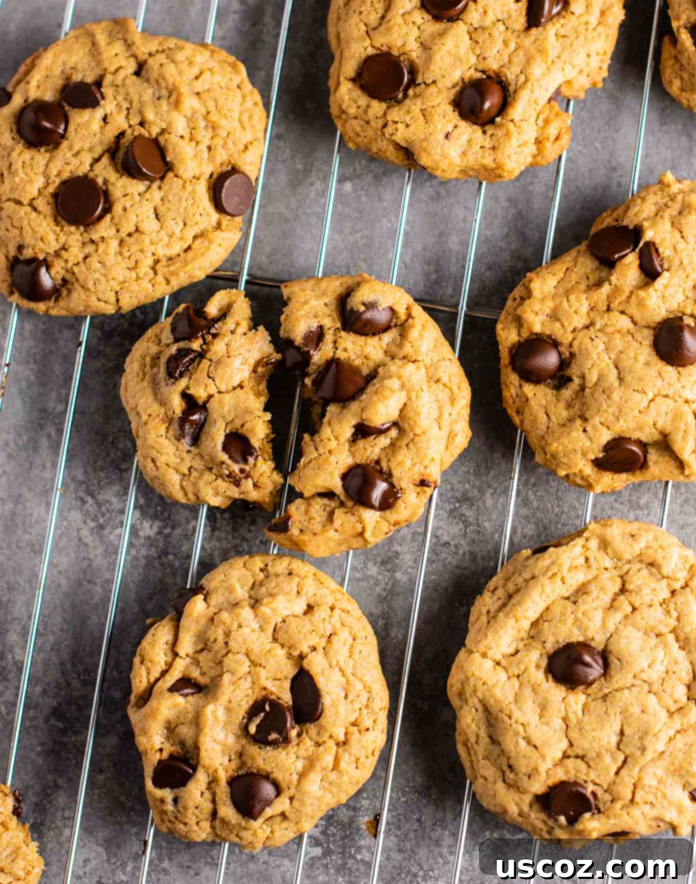 25 Incredible Vegan Recipes 5 best vegan recipes - The best vegan chocolate chip cookies recipe - so chewy and rich, you would never guess they don't have any eggs or dairy in them! #vegan #chocolatechipcookies #dessert #dairyfree #eggless #cookies #healthy