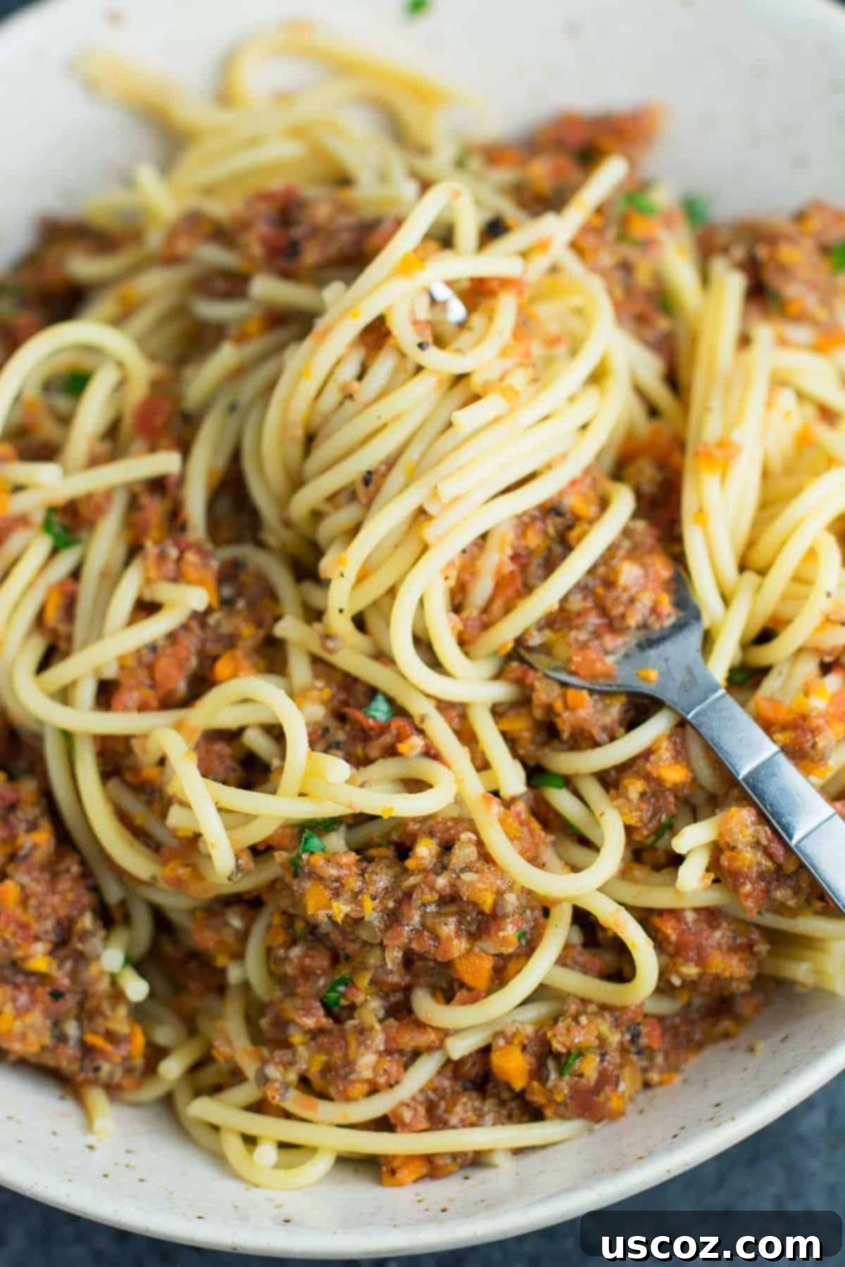 25 Incredible Vegan Recipes 9 best vegan recipes - Vegetable bolognese recipe made with mushrooms, carrots, celery, garlic, and onion. A delicious meatless vegetarian "meat" sauce recipe. #vegetablebolognese #vegan #vegetarian #bologneserecipe