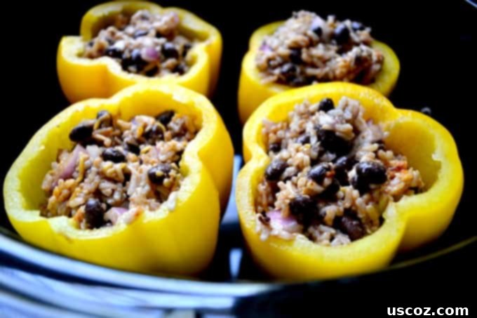 Mixed vegetarian filling in a bowl, with rice, beans, onion, and spices