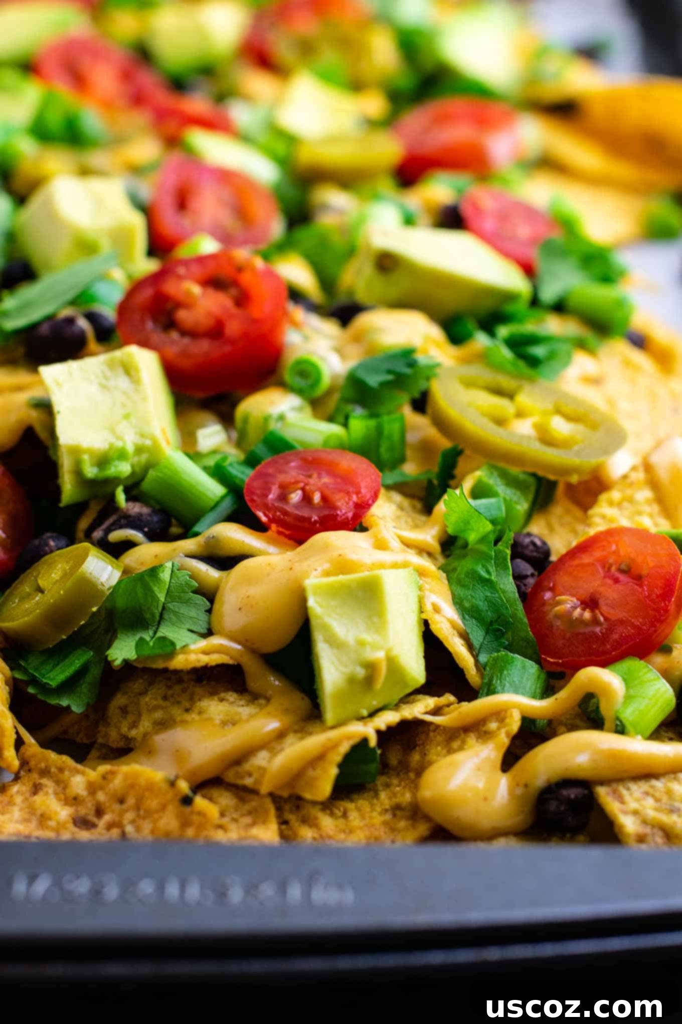 Epic Plant-Based Nachos 5 Loaded veggie nachos topped with homemade nacho cheese sauce. These are amazing! #veggienachos #vegetarian #nachocheese #nachocheesesauce