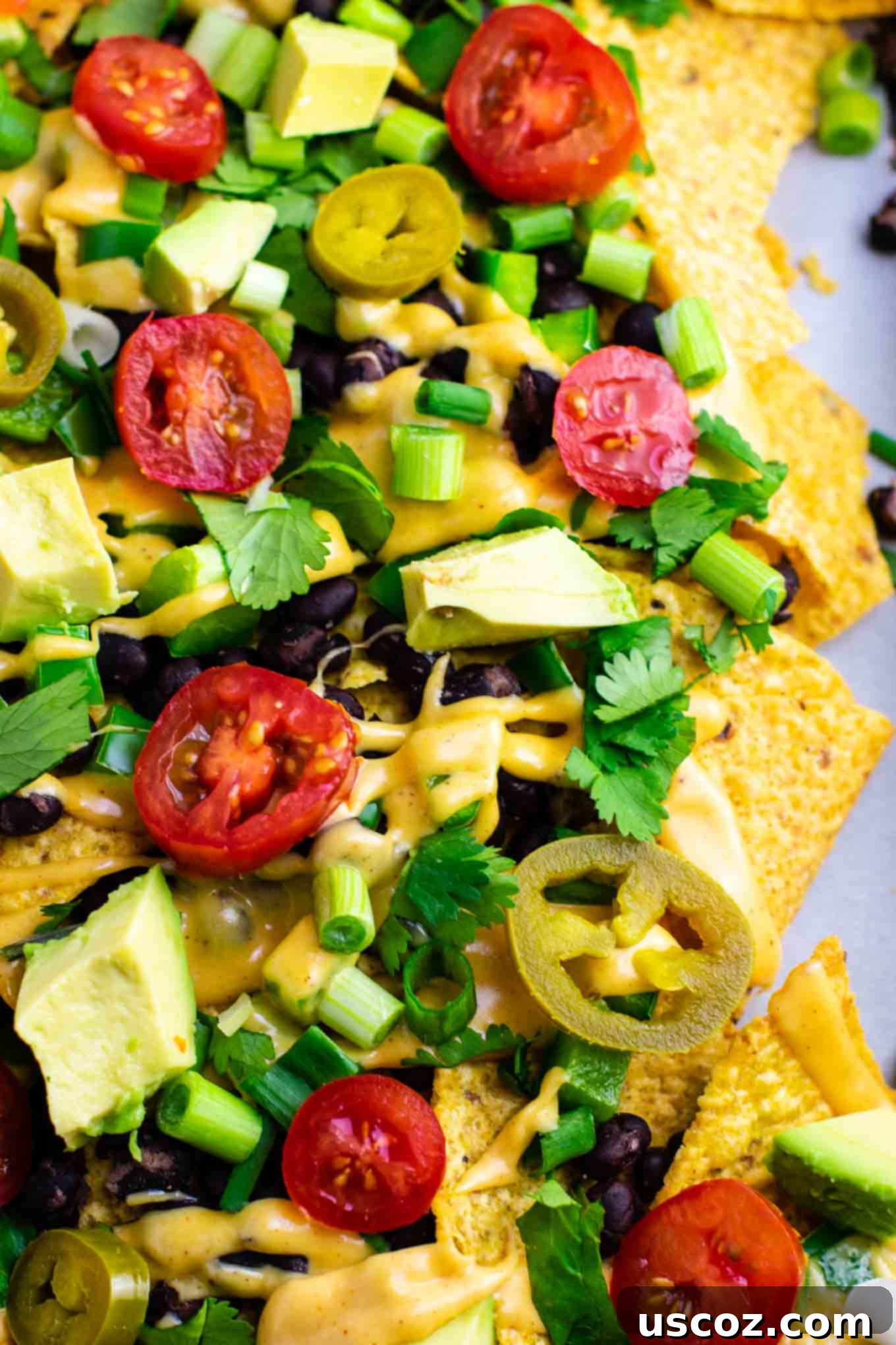 Epic Plant-Based Nachos 6 Loaded veggie nachos topped with homemade nacho cheese sauce. These are amazing! #veggienachos #vegetarian #nachocheese #nachocheesesauce