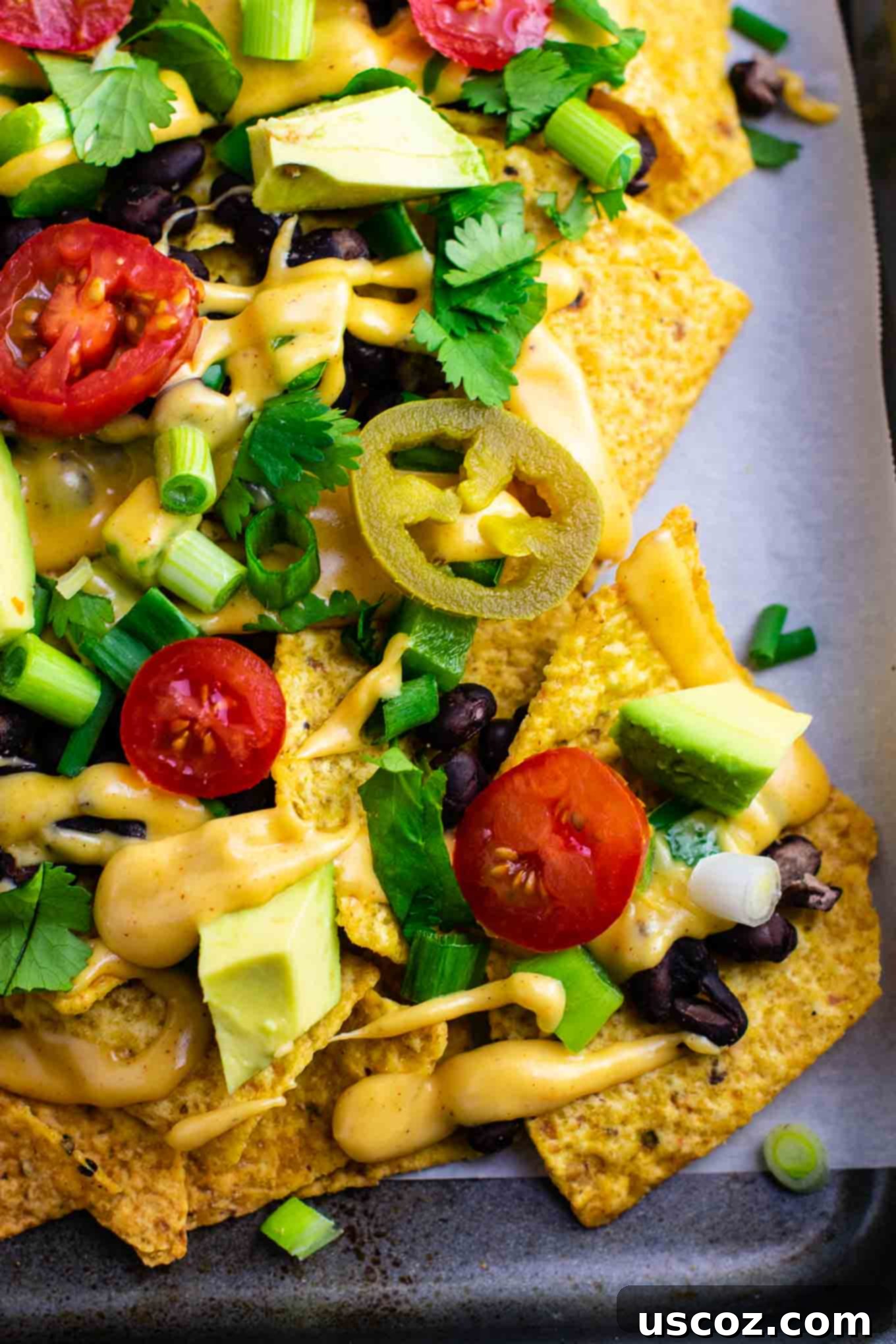 Epic Plant-Based Nachos 8 Loaded veggie nachos topped with homemade nacho cheese sauce. These are amazing! #veggienachos #vegetarian #nachocheese #nachocheesesauce